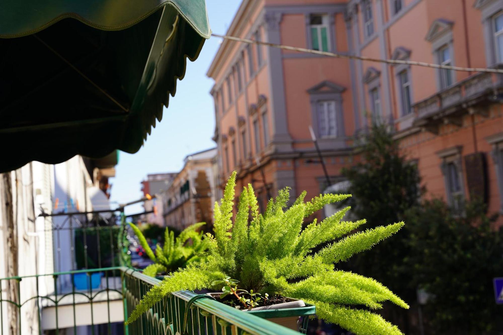 La Maison Di Donna Elena Bed & Breakfast Cercola Exterior photo